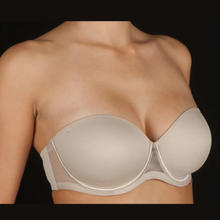 REGGISENO A FASCIA COPPA D 