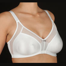 REGGISENO CLASSICO COPPA D 