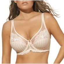 REGGISENO COPPA C 