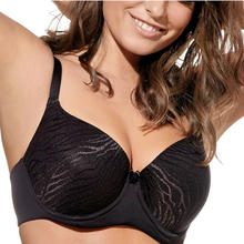 REGGISENO COPPA C 