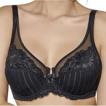 REGGISENO COPPA C 