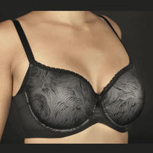 REGGISENO COPPA C 