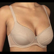 REGGISENO COPPA C 