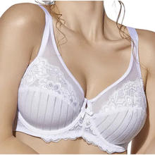 REGGISENO COPPA C 