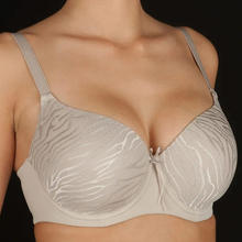 REGGISENO DAMASCATO COPPA D 