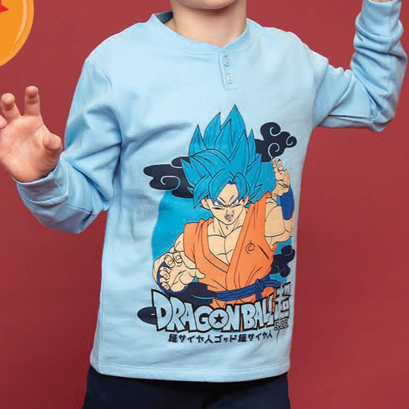 Felpa dragon shops ball bambino